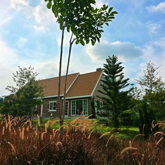 🏡 บ้านหลังน้อยท่ามกลางสวนดอกไม้ 