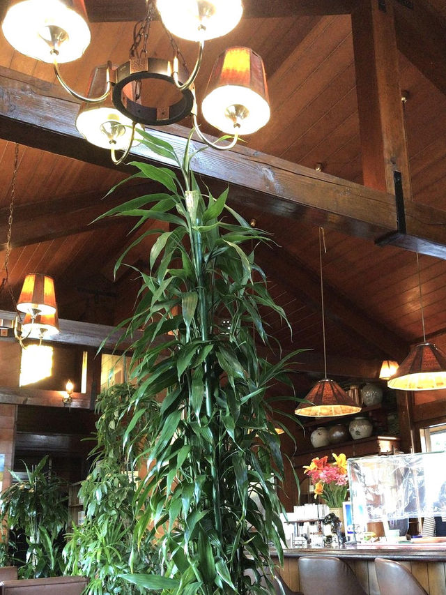 【福岡カフェ】落ち着く雰囲気のレトロな喫茶店☕️