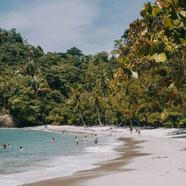 Uncover the Natural Wonders of Costa Rica