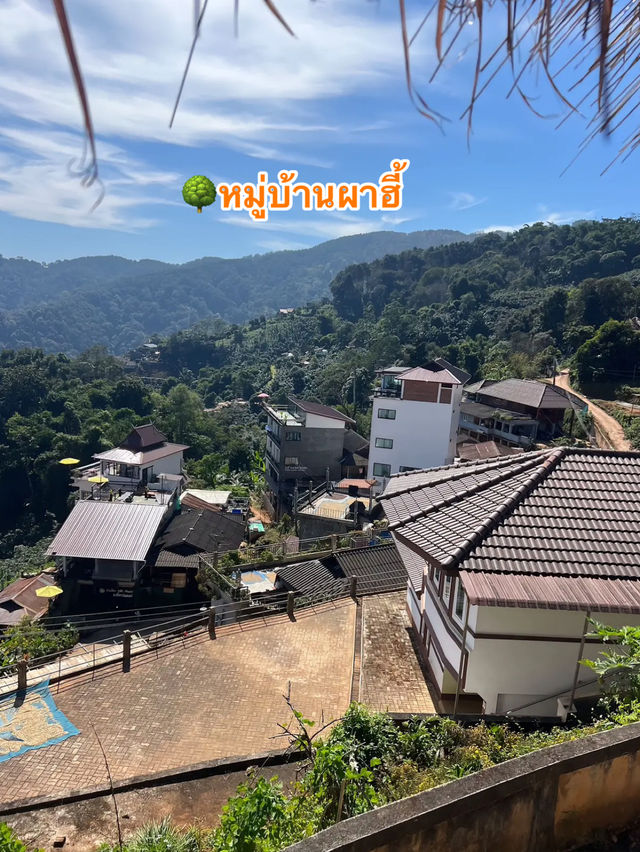 🌳หมู่บ้านผาฮี้