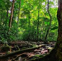 🇲🇾 Lepoh Waterfall: Your Next Forest Adventure!" 