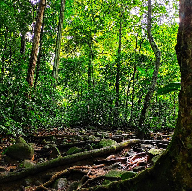 🇲🇾 Lepoh Waterfall: Your Next Forest Adventure!" 
