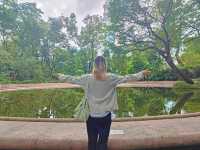 居然在九龍公園發現天空之鏡