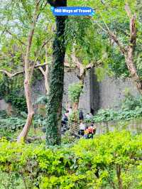 🚶‍♀️ Jian Tan Forest Trail