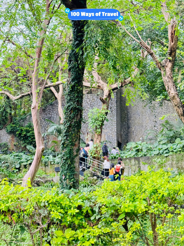 🚶‍♀️ Jian Tan Forest Trail