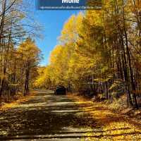 Autumn in Mohe 🍂