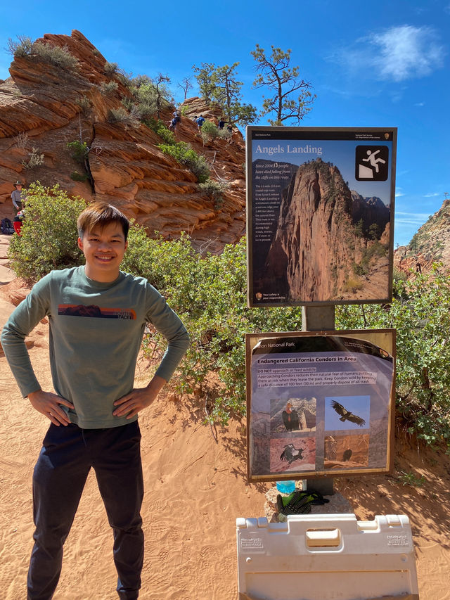 Angels Landing Hike: A Thrilling Climb in Zion National Park