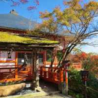 Hiking Mount Kurama: A Colorful Autumn Adventure