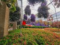 Flowers blooming at Flora Park, Cameron Highlands