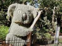 Royal Botanic Garden Sydney