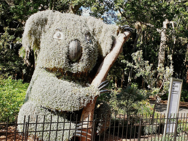 Royal Botanic Garden Sydney