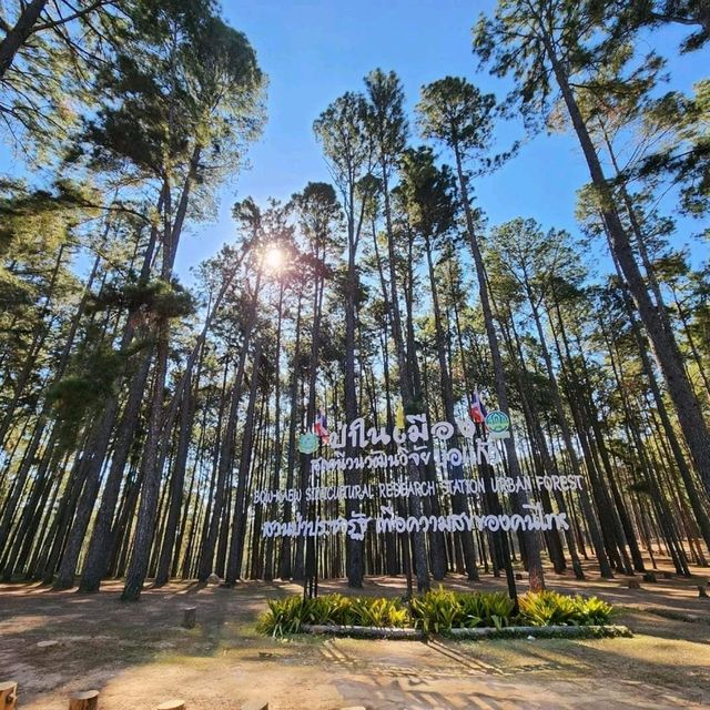 สถานีวนวัฒนวิจัยบ่อแก้ว เชียงใหม่ 🌲🌲