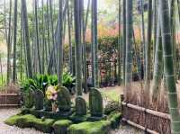 竹寺　鎌倉報国寺
