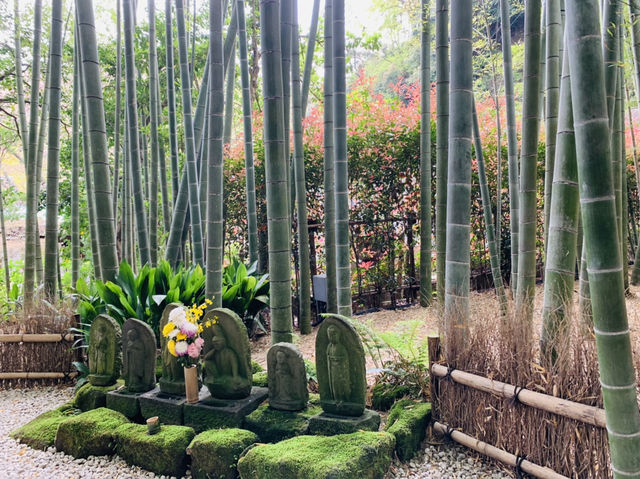 竹寺　鎌倉報国寺