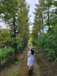 가을에 가기 좋은 연천 숙소🧡