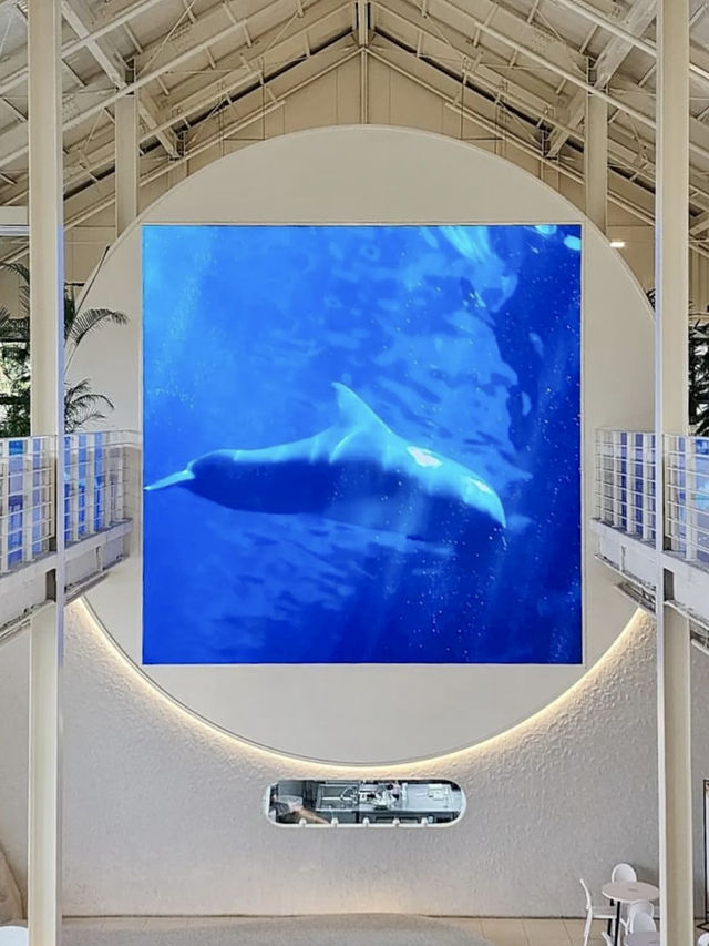🐳 날씨좋은날, 시원한 바닷가에 🌊온듯한 바다감성 카페 투어 💙