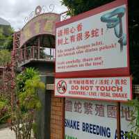 🇲🇾 : Hide and Seek in the Snake Temple