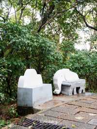 สัมผัสธรรมชาติและวิวเมือง ที่ยอดเขา Xiang Shan
