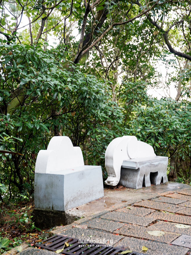 สัมผัสธรรมชาติและวิวเมือง ที่ยอดเขา Xiang Shan