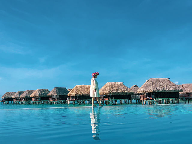 【タヒチ】地上の楽園！夢の水上コテージ🏖️