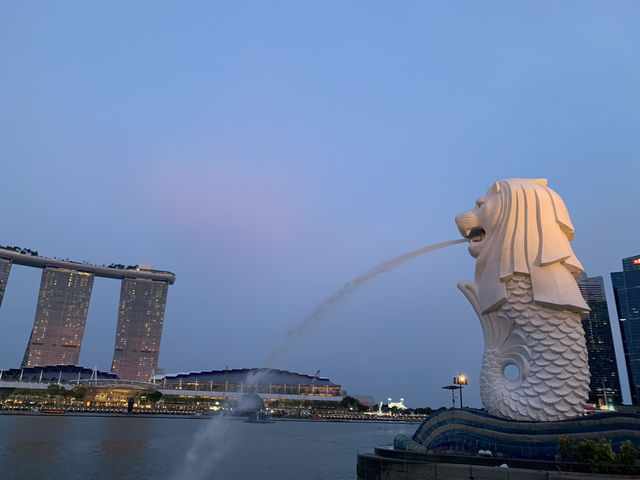 Marina Bay เดินเล่น ชมไฟ ที่สิงคโปร์