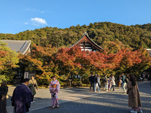 <京都 永觀堂>  🇯🇵楓葉女王的聖殿