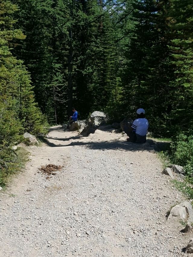 A SATISFYING HIKE FROM LAKE LOUISE TO LAKE AGNES