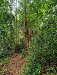 Conquering Mount Santubong: A Local Favorite Hiking Trail in Kuching