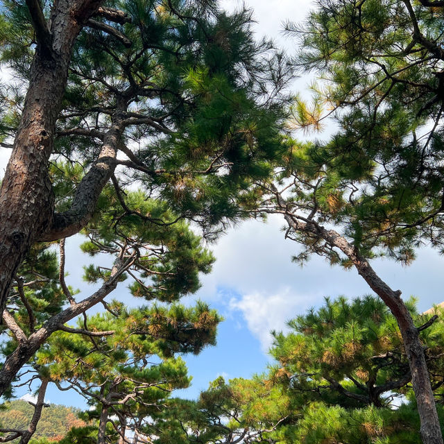 대구에서 떠나는 감성 여행, MRNW 가는 법