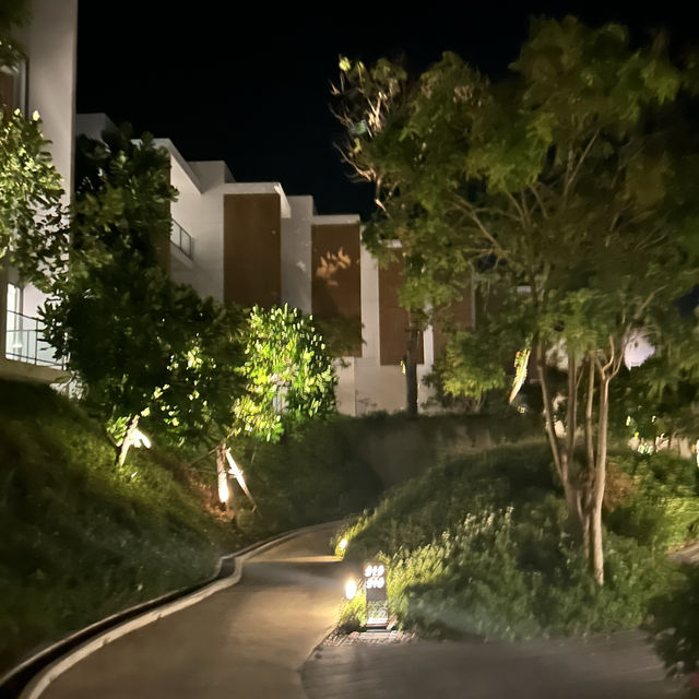 【サムイ島🏝️】ココナッツアイランドのホテル