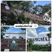 ✨ พาทัวร์สวนสัตว์เชียงใหม่ ⛰️🐨🦒🐘🐢🦋