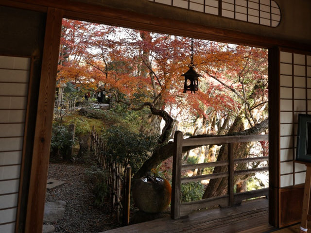 [四國] 被紅葉和銀杏包圍的臥龍山莊
