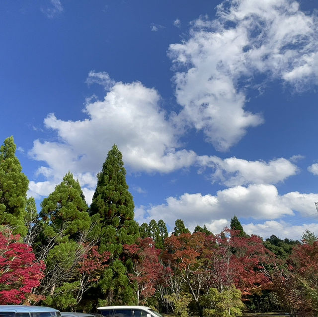 美秀美術館