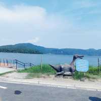 滿佈花海的池田湖