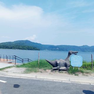 Lake Ikeda covered in a sea of ​​flowers