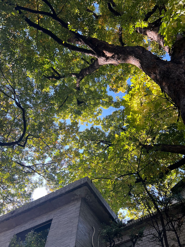 나만 알고싶은🤫자연 속 전시회장 piknic📷🖼️