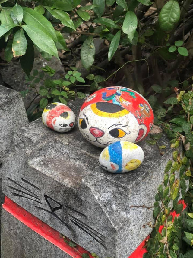【尾道観光】猫好き必見！「尾道 猫の細道」🐾🎨