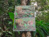 Bohol Tarsier Conservation Area