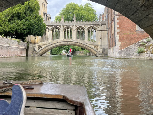 Punting Through the Knowledge Town: Discovering Cambridge’s Charm