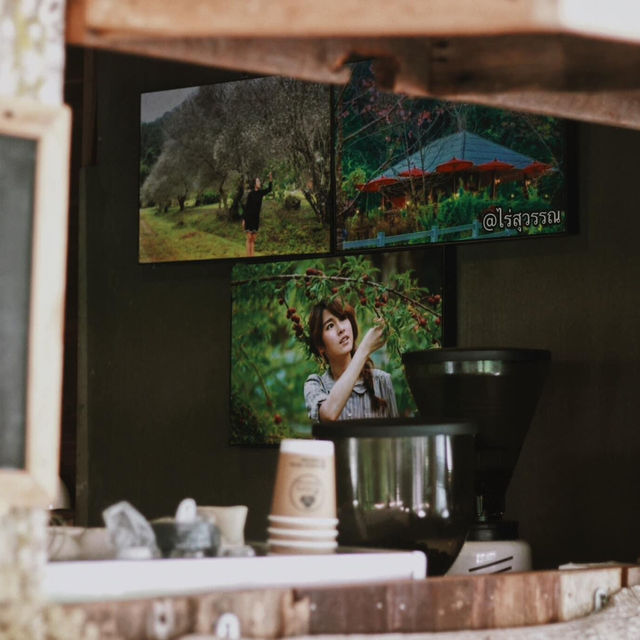 แม่แจ๋ม…ลำปาง 🌱✨ เมืองที่ไม่หมุนตามกาลเวลา 