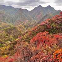 ～龍神岳～漫山紅葉～