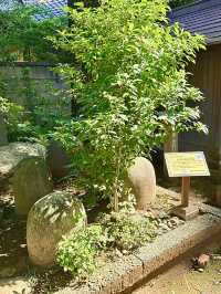 【東京都】ビール麦発祥の地
