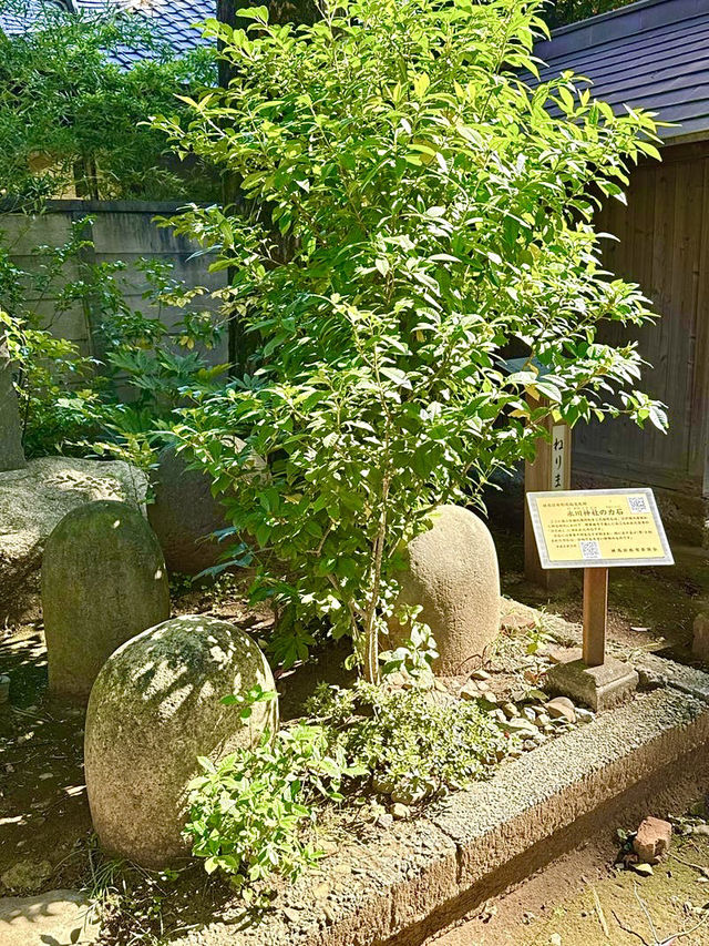 【東京都】ビール麦発祥の地