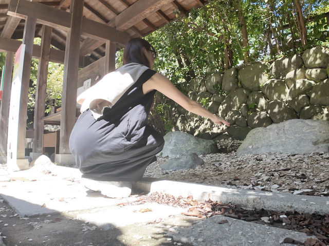 お皿を投げて厄を払う？！ご利益ありまくりな📍鎌倉宮
