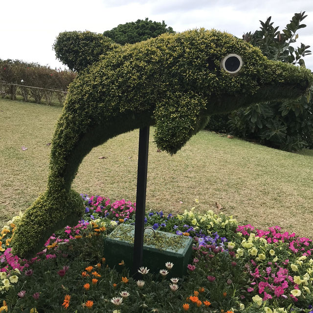 🇯🇵日本沖繩-沖繩美麗海水族館🐟🪼🦑🦈🐡