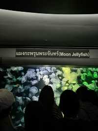 🐠 แนะนำสถาบันวิทยาศาสตร์ทางทะเลบางแสน,ชลบุรี