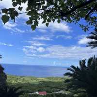 【沖縄】沖縄本島最北端！！！自然のパワースポット🌳