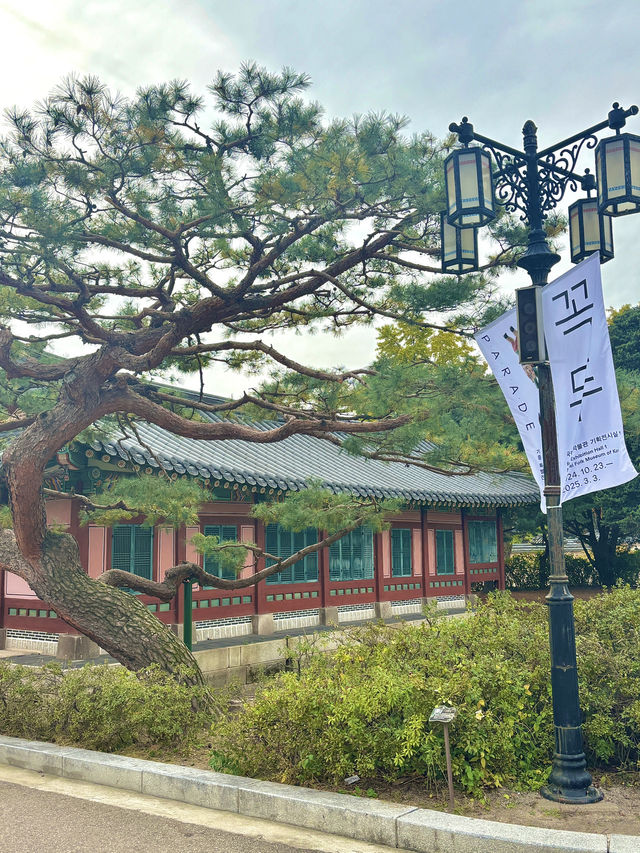 어른들과 함께 나들이 가기 좋은 역사가 있는 국립 민속박물관😇