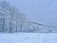 ขาวโอโม่ในตำนาน☃️สวรรค์ของคนรักหิมะ 