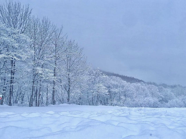 ขาวโอโม่ในตำนาน☃️สวรรค์ของคนรักหิมะ 